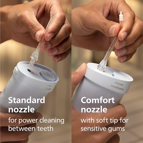 Philips Sonicare Compact Flosser 1000 (blue) with ProtectiveClean 5300 toothbrush and 2-pack nozzles bundle.