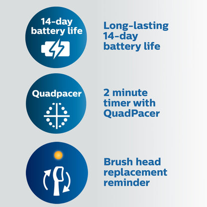 Philips Sonicare Compact Flosser 1000 (blue) with ProtectiveClean 5300 toothbrush and 2-pack nozzles bundle.